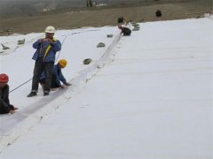 佳路通长丝土工布应用在矿业项目