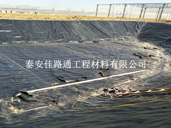 黑膜沼气池与传统沼气池:一场绿色革命中的技术较量 黑膜沼气池与传统沼气池:一场绿色革命中的技术较量
