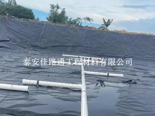 守护绿色能源“宝库”:沼气池黑膜储存环境不容忽视 守护绿色能源“宝库”:沼气池黑膜储存环境不容忽视