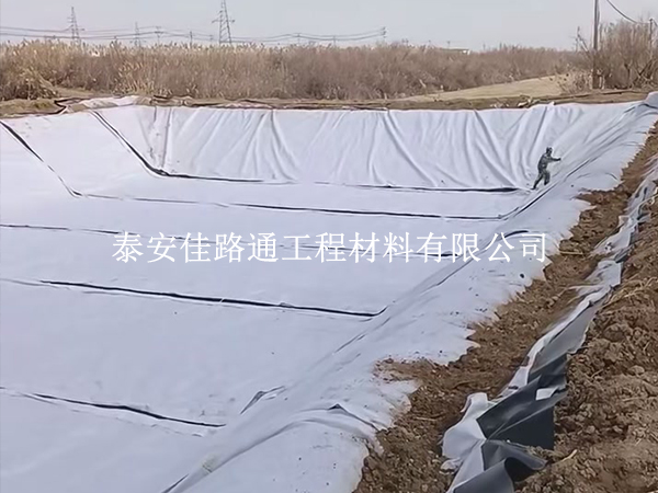 影响土工布使用寿命的核心因素：读懂这些，延长工程防护时效