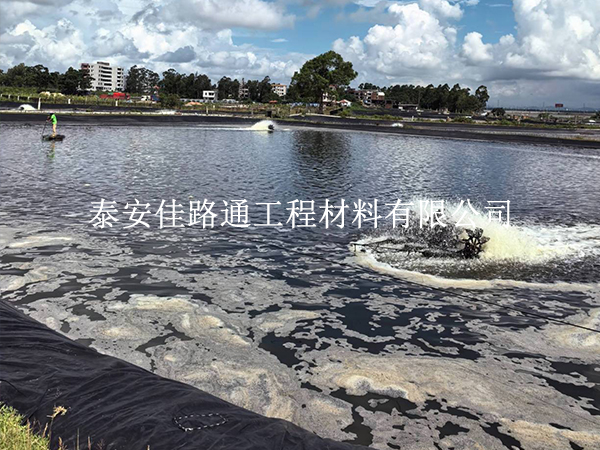 防渗膜为何频频“破防”？盘点水产养殖中的自然破坏力