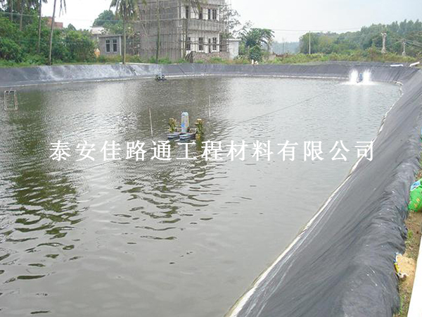 鱼塘防渗膜厚度选择的科学技巧