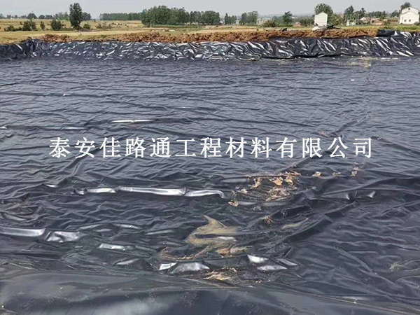 鱼塘防渗膜铺完变形撕裂?多半是这几个环节没到位 鱼塘防渗膜铺完变形撕裂?多半是这几个环节没到位